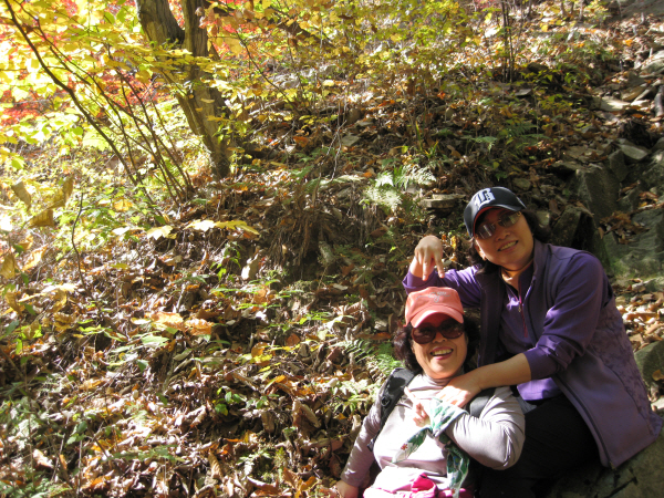 [1]IMG_0911.JPG