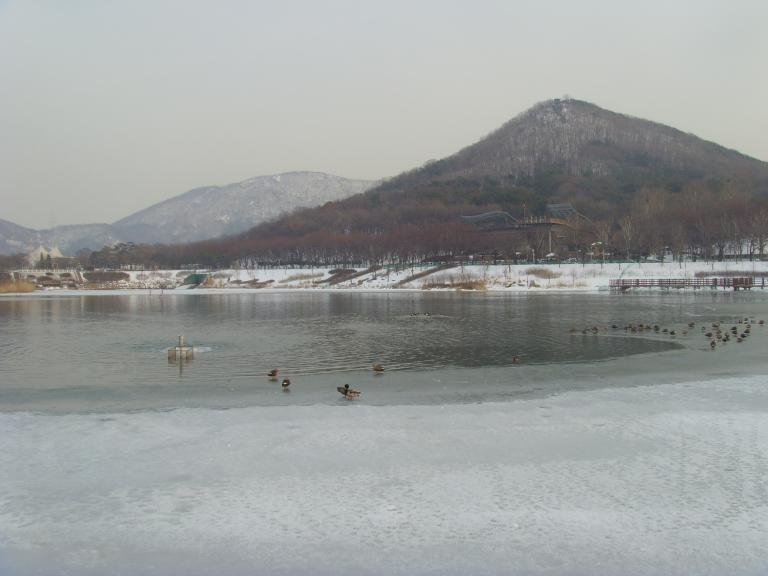 SNV39156.JPG