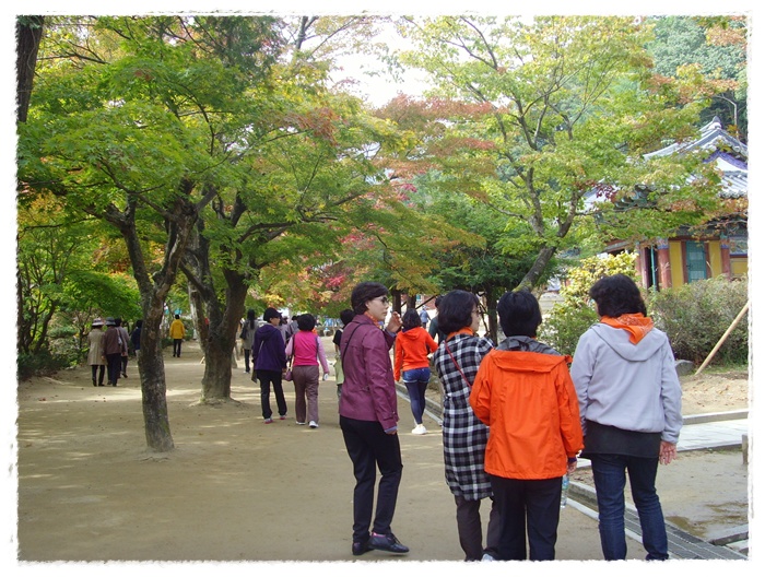 문수산 089.jpg