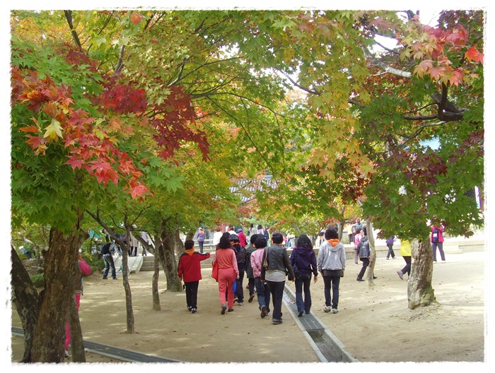 문수산 091.jpg