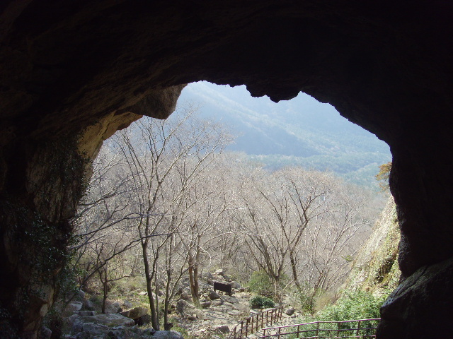 SNV35541.JPG