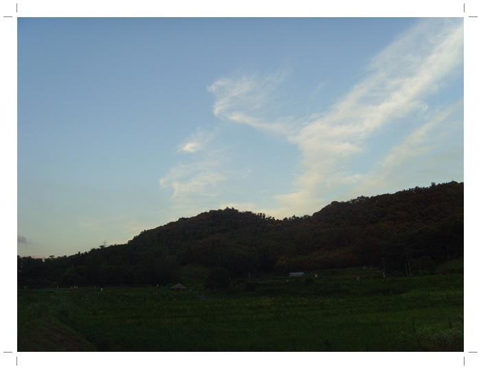 대공원 274.jpg