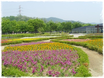 SNV30010.JPG