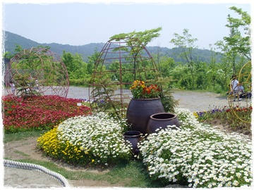 SNV30013.JPG