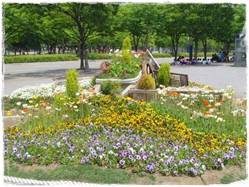 SNV30014.JPG