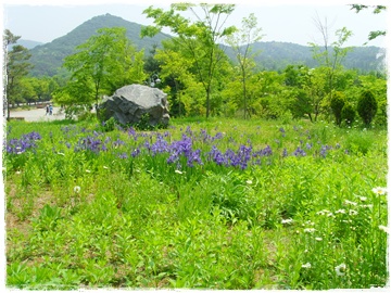 SNV30040.JPG
