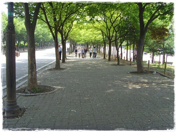 SNV30041.JPG