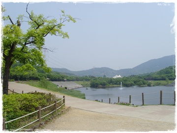 SNV30045.JPG