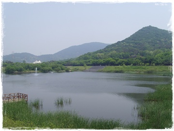 SNV30046.JPG