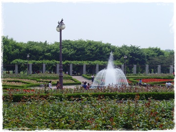 SNV30052.JPG