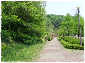 SNV30056.JPG