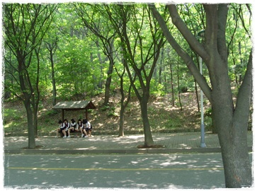 SNV30065.JPG