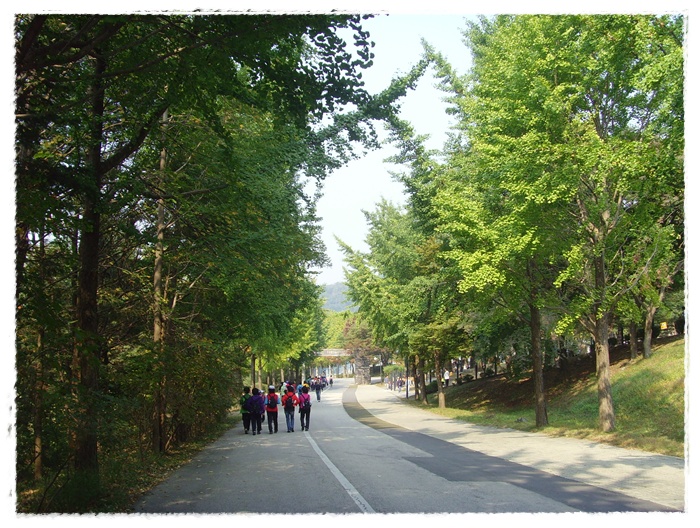 SNV33304.JPG