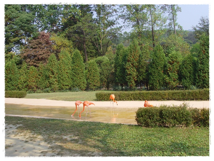 SNV33321.JPG