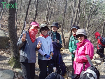 SNV39358.JPG