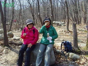 SNV39377.JPG