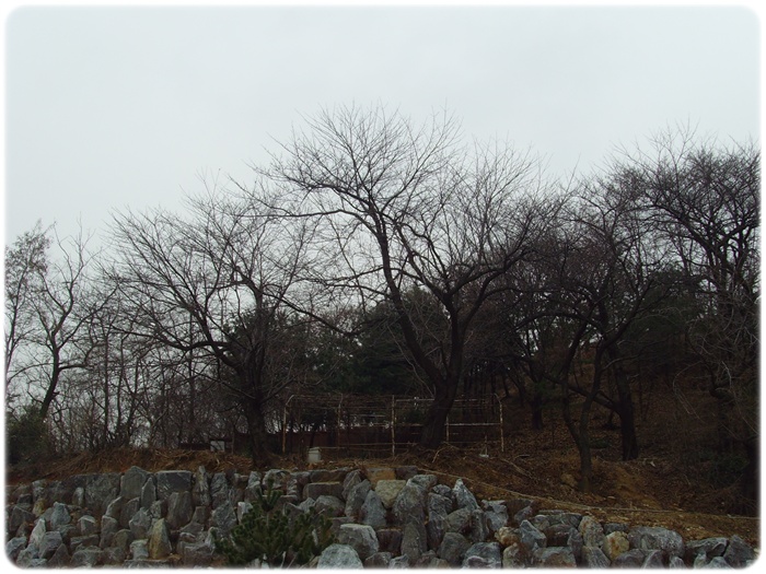 10.2.27inil 050.jpg