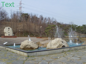SNV39385.JPG