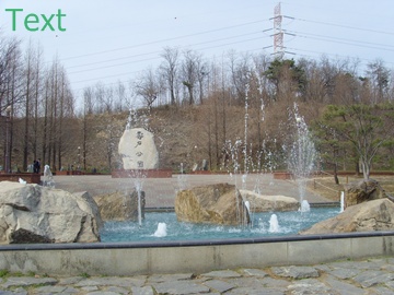 SNV39386.JPG