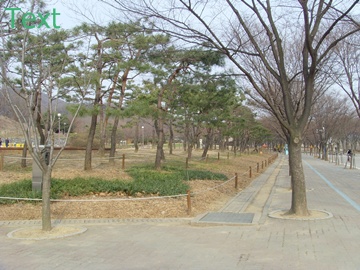 SNV39387.JPG
