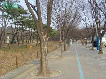 SNV39388.JPG