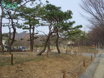 SNV39389.JPG