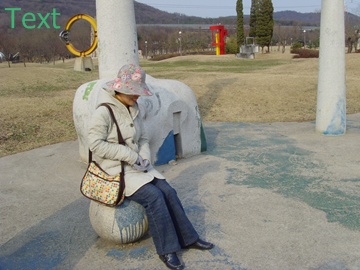 SNV39392.JPG