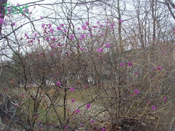 SNV39399.JPG