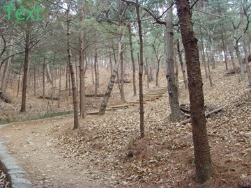 SNV39401.JPG