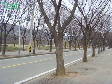 SNV39402.JPG