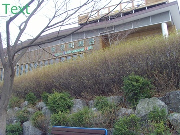 SNV39403.JPG