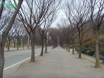 SNV39404.JPG