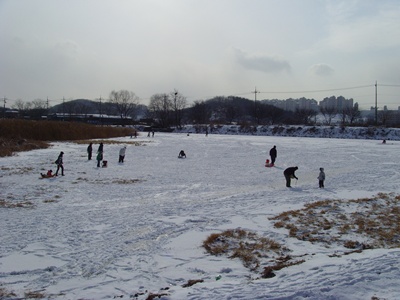 SNV39235.JPG