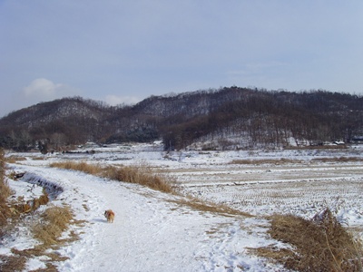 SNV39237.JPG