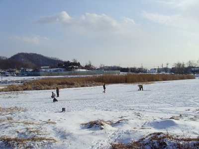 SNV39238.JPG
