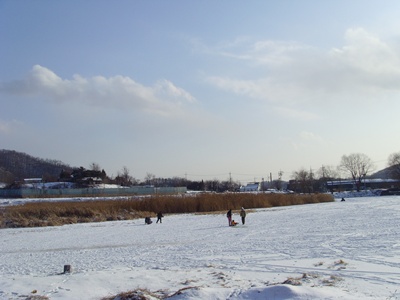 SNV39241.JPG