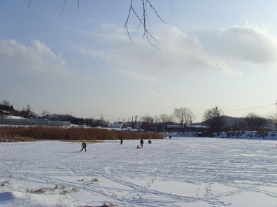 SNV39244.JPG