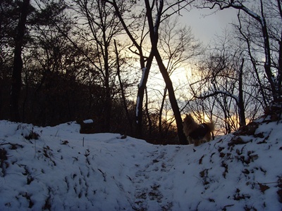 SNV39271.JPG