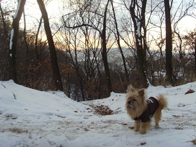 SNV39277.JPG