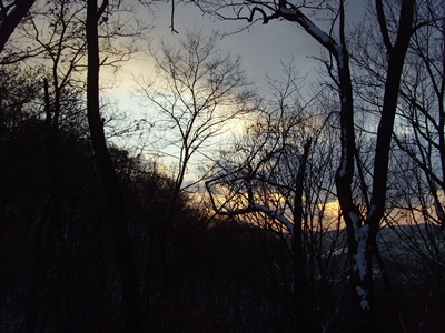 SNV39280.JPG