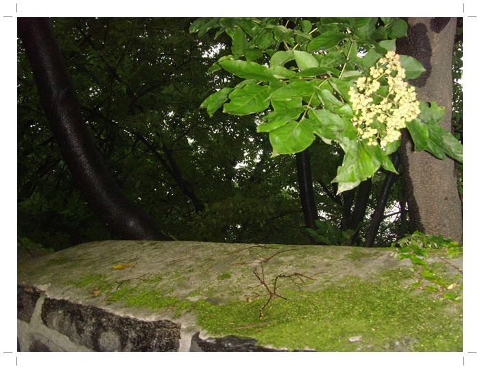 남산 025.jpg