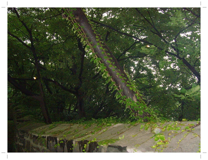 남산 026.jpg