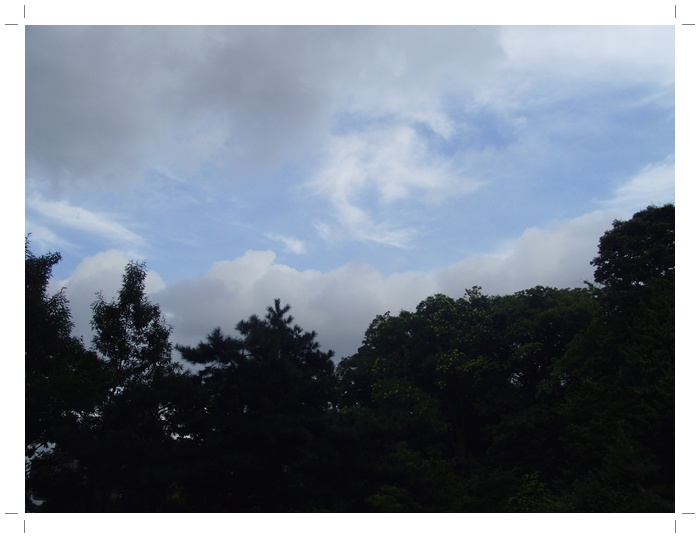 남산 037.jpg