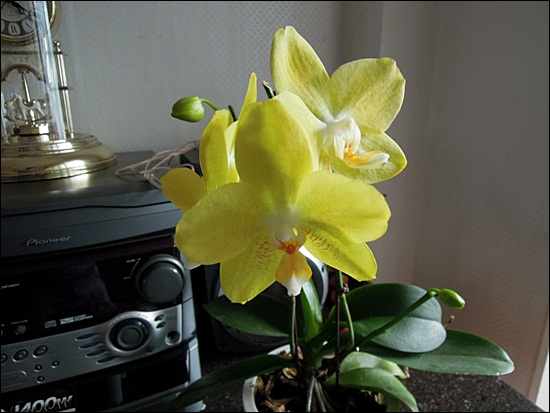 DSCN2768.JPG