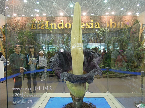 262.JPG