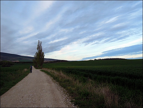 DSCN1723.JPG