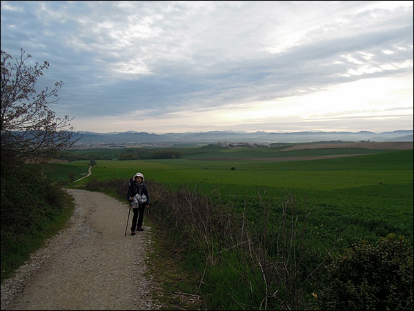 DSCN3637.JPG