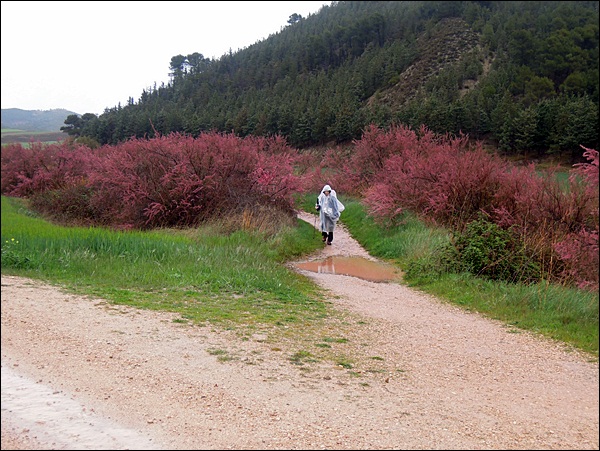 DSCN3674.JPG