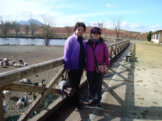 DSC00545.JPG