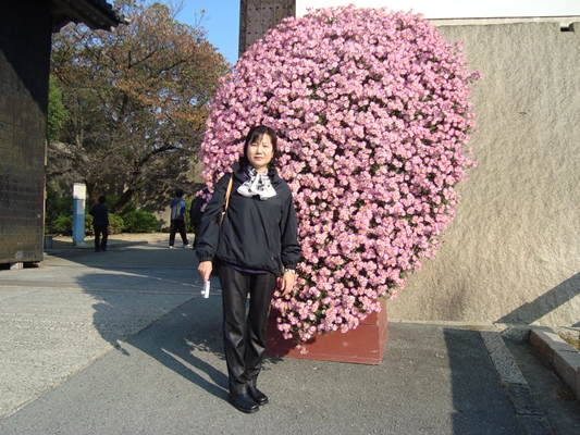 DSC00613.JPG